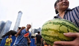 朝阳吃瓜群众网,揭秘娱乐圈幕后故事，带你领略不一样的娱乐圈